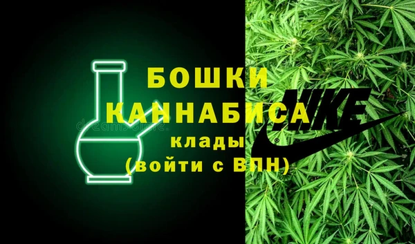 трава Верея