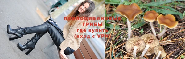 трава Верея