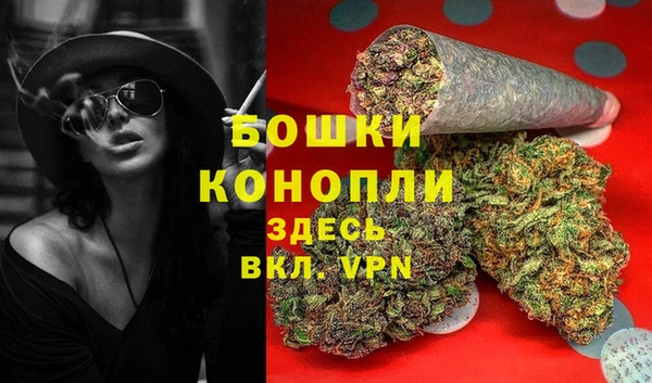 трава Верея